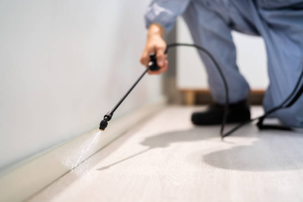 Licensed Termite Control service in Sandusky, MI - Nex Pest Control