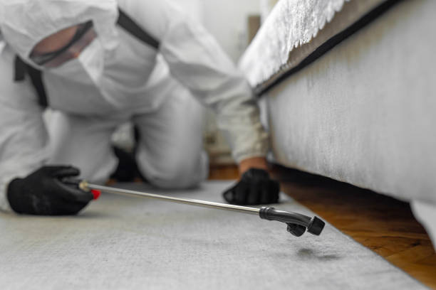 Professional Termite Control technician working in Sandusky, MI