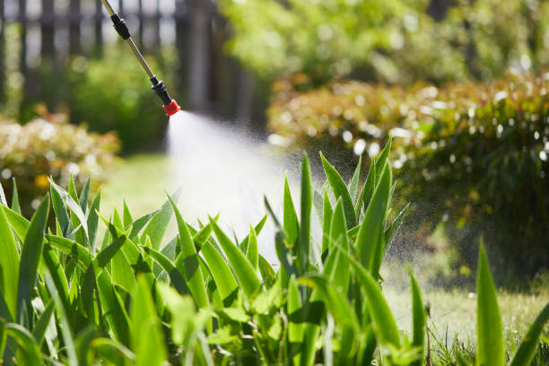 24/7 Emergency Termite Control experts in Sandusky, MI
