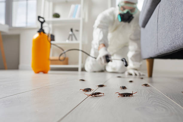 Affordable Termite Control solutions in Sandusky, MI