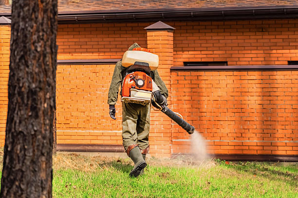 Top rated local Termite Control specialists in Sandusky, MI